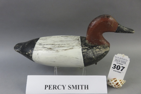 Percy Smith Canvasback