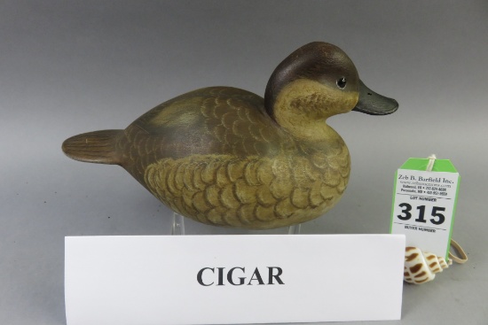 Cigar Daisey Ruddy Duck