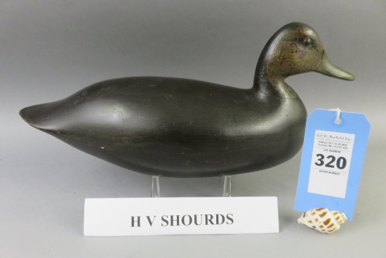 Harry V. Shourds Black Duck