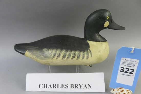 Charlie Bryan Goldeneye