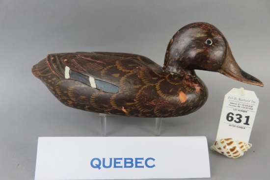 Quebec Black Duck