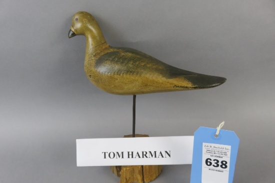 Tom Harman Dove