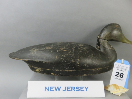 New Jersey Black Duck