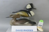 Pr. David Rhodes Mergansers