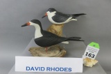 2 David Rhodes Carvings