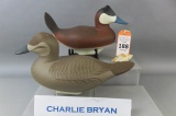 Pr. Charlie Bryan Ruddy Ducks