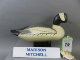 Madison Mitchell Bufflehead