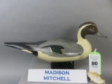 Madison Mitchell Pintail