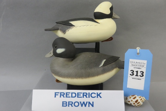 Pr. Frederick Brown Buffleheads