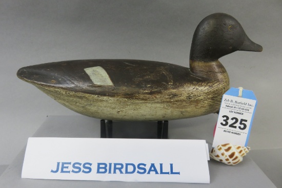 Jess Birdsall Goldeneye From the Conover Coll.