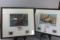 Lot of 2 MD Duck Stamp Prints