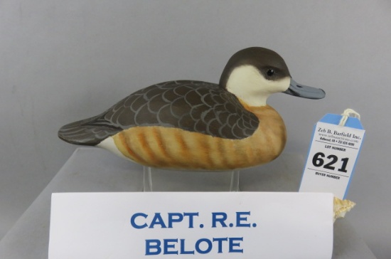 Capt. R.E. Belote Ruddy Duck