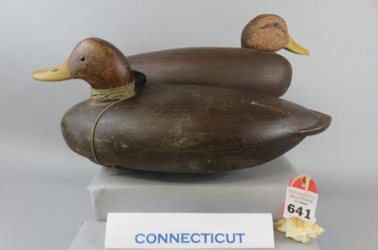 Pr. Connecticut Black Ducks