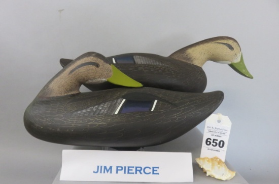 Pr. Jim Pierce Black Ducks