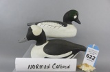 Pr. Norman Calhoun Buffleheads