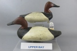 2 Upper Bay Drake Canvasbacks