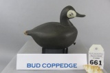 Bud Coppedge Ruddy Duck