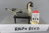 Ralph Reed Mini Pintail