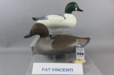 Pr. Pat Vincenti Buffleheads