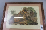 Audubon Print Ruffed Grouse