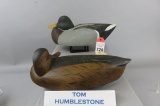 Pr. Tom Humberstone Mallards