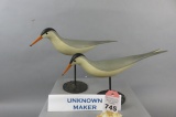 2 Terns by Unknown Maker