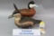 Pr. Thomas Kilbourne Ruddy Ducks