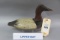 Upper Bay High Head Canvasback