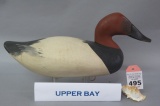 Upper Bay Canvasback