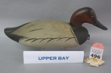 Upper Bay Canvasback