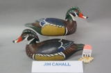 Pr. Jim Cahall Wood Ducks