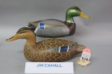 Pr. Jim Cahall Mallards