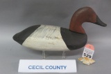 Cecil County Canvasback