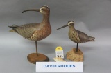 2 David Rhodes Shorebirds