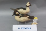 Pr. R. Stevens Decorative Buffleheads