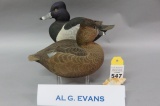 Pr. Decorative Al G. Evans Ringnecks