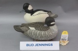 Pr. Bud Jennings Buffleheads