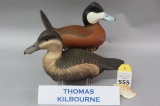 Pr. Thomas Kilbourne Ruddy Ducks