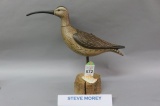 Steve Morey Pocket Shorebird