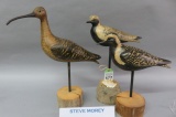 3 Steve Morey Shorebirds