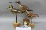 3 Steve Morey Shorebirds
