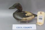 Cecil County Canvasback