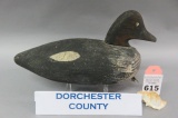 Dorchester County, MD Hen Goldeneye