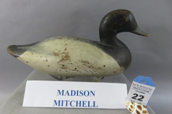 Madison Mitchell Bluebill