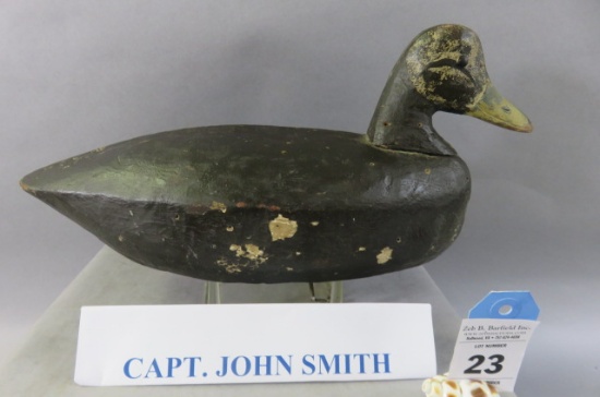 Capt. John Smith Ocean City, MD Black Duck