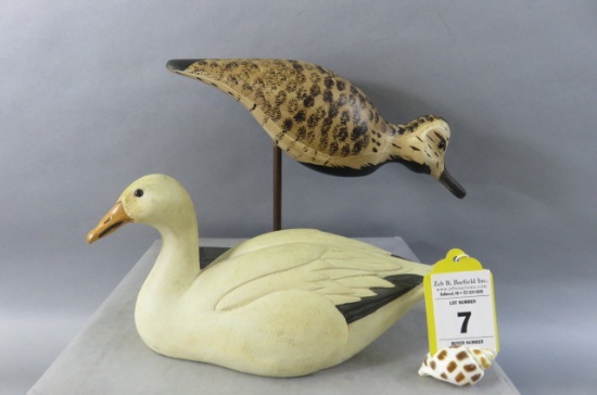 Shorebird and Mini Snow Goose