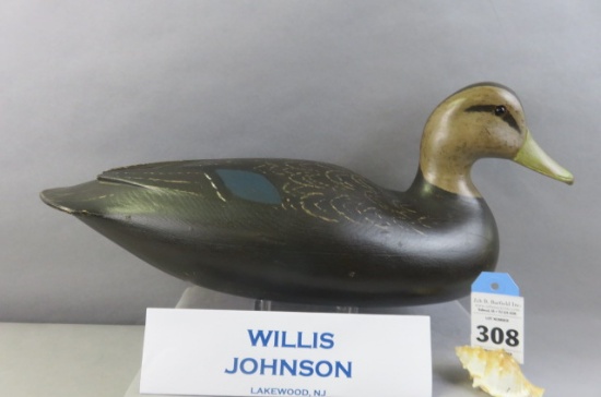 Willis Johnson Black Duck