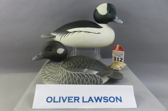 Pr. Oliver Lawson Buffleheads