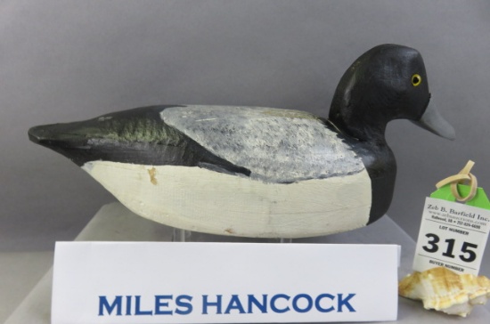 Miles Hancock Bluebill