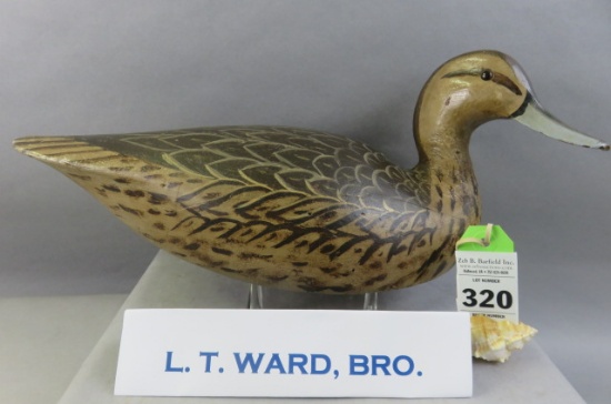 L.T. Ward, Bros. Full Size Hen Pintail